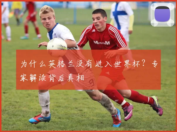 为什么英格兰没有进入世界杯？专家解读背后真相