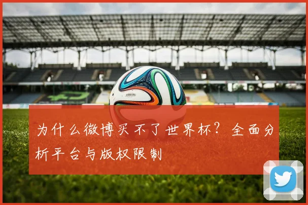 为什么微博买不了世界杯？全面分析平台与版权限制