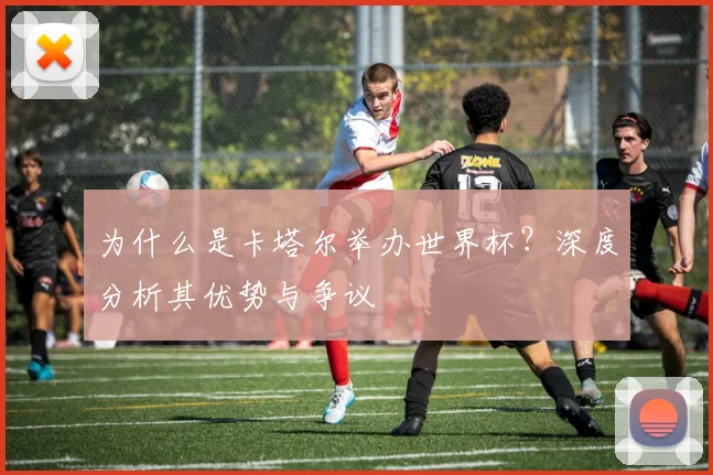 为什么是卡塔尔举办世界杯？深度分析其优势与争议