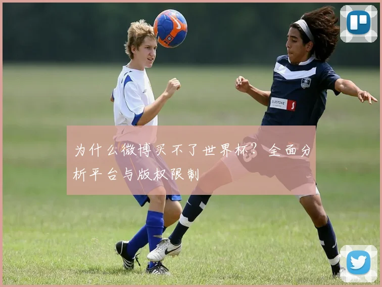 为什么微博买不了世界杯？全面分析平台与版权限制