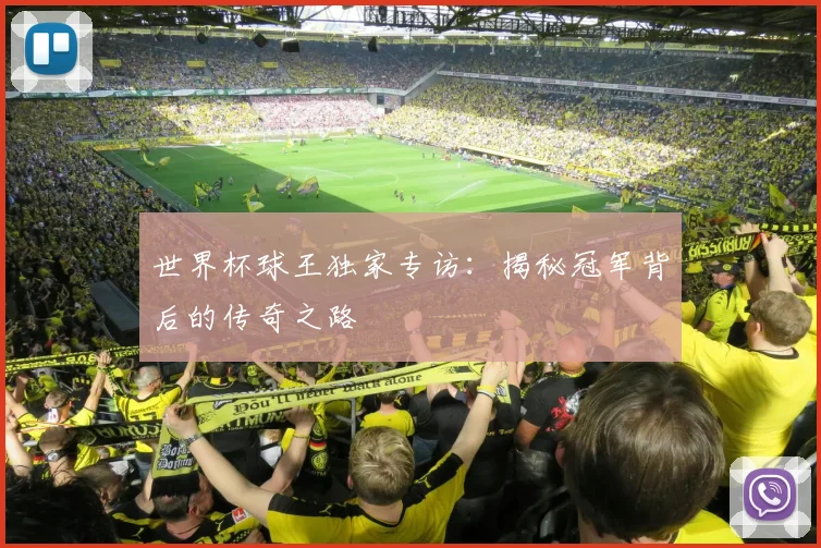 世界杯球王独家专访：揭秘冠军背后的传奇之路