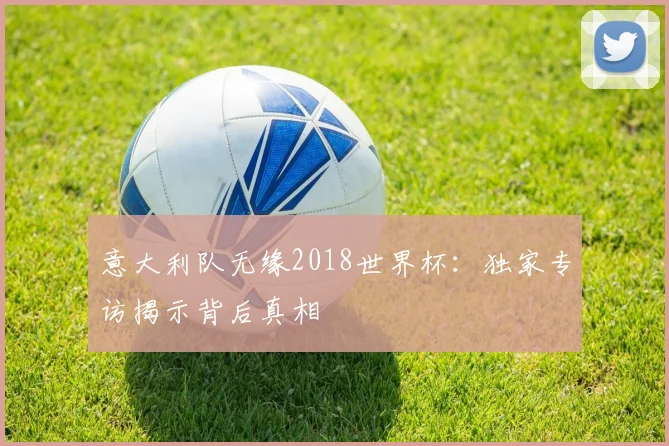 意大利队无缘2018世界杯:独家专访揭示背后真相
